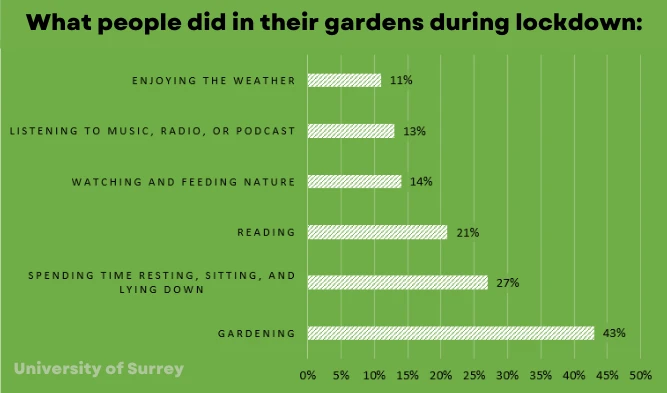 What people did in their gardens during lockdown.