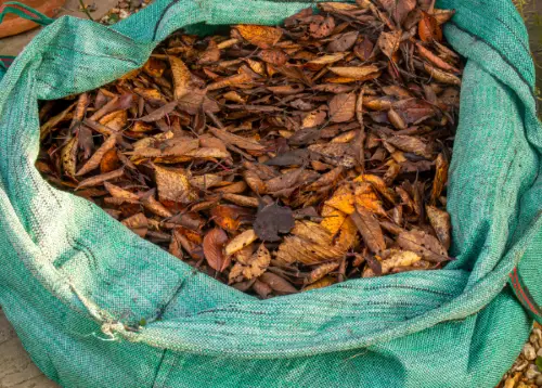 Bag of composting leaves