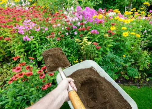 Suggerimenti per il compostaggio per il tuo graden