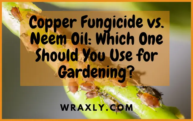 Fungicida de cobre versus óleo de nim, qual você deve usar para jardinagem