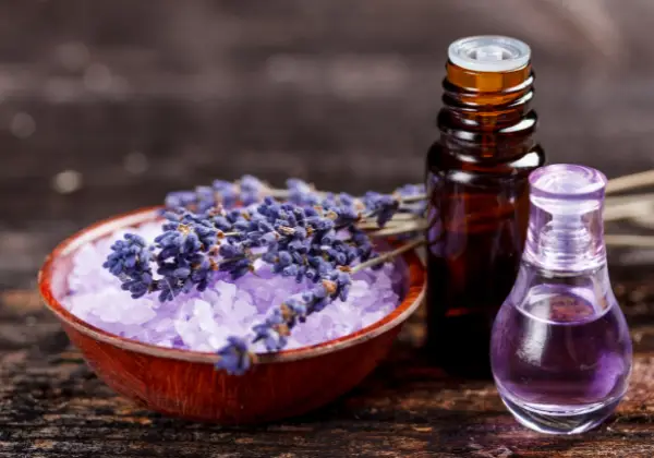 Lavendel en Russische salie worden beide gebruikt in de aromatherapie