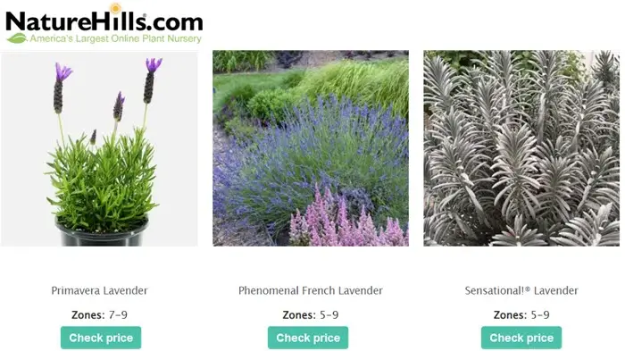 NatureHills.com lavender banner