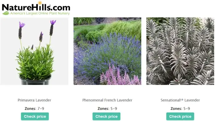 Nature Hills lavendel banner