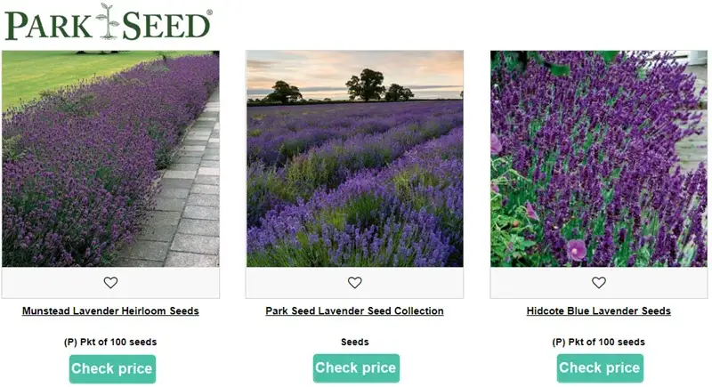 Park Seed lavender seeds banner
