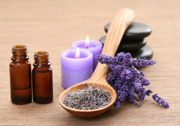 Lavender is such a helpful herb, both medicinally and culinary