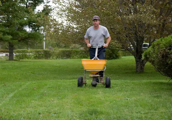 Tanto EcoScraps quanto Milorganite podem ser aplicados em seu gramado com um espalhador