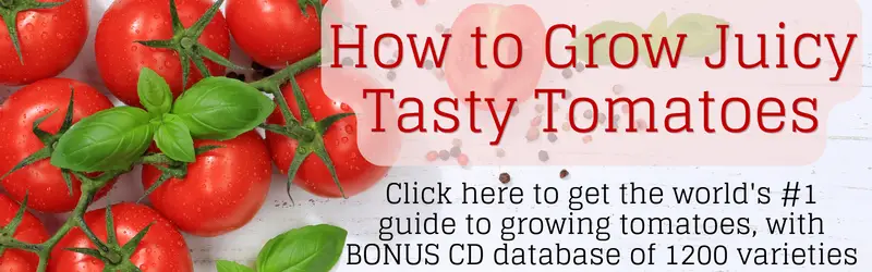 How to grow juicy tasty tomatoes ebook banner