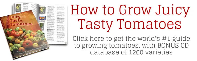 How to grow juicy tasty tomatoes ebook banner