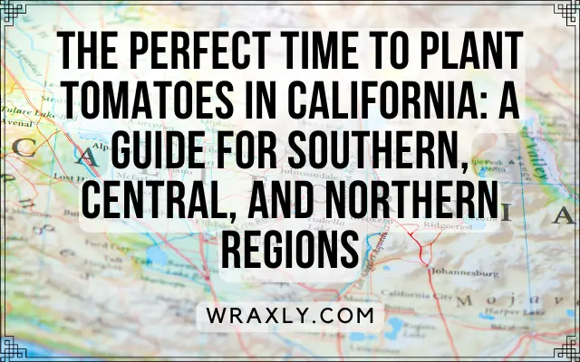 The Perfect Time to Plant Tomatoes in California