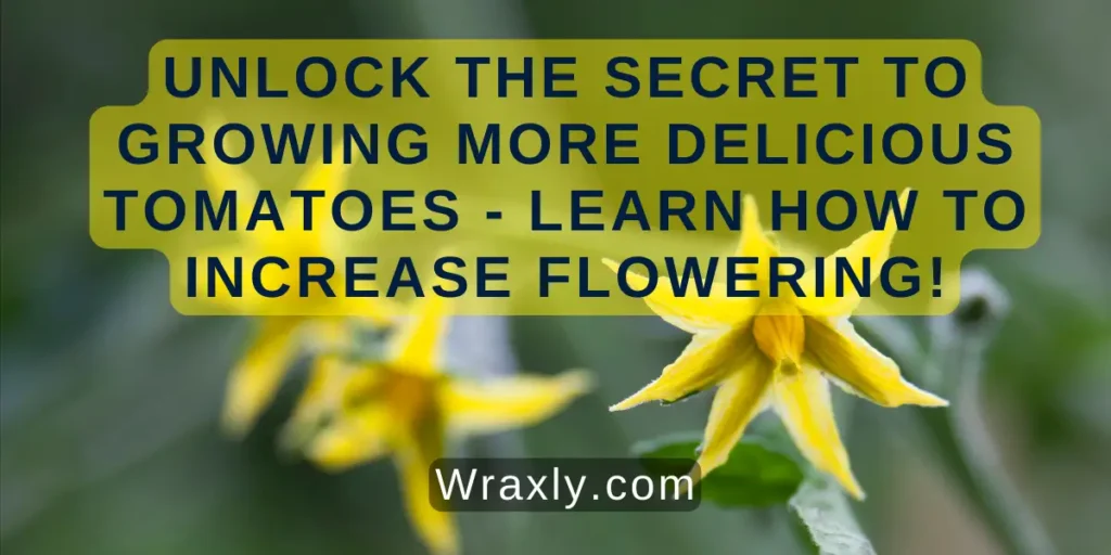 Unlock the Secret to Growing More Delicious Tomatoes - Learn How to Increase Flowering!