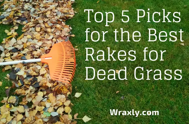Las 5 mejores selecciones para los mejores rastrillos para hierba muerta