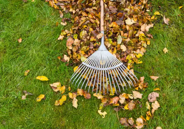 Leaf rake