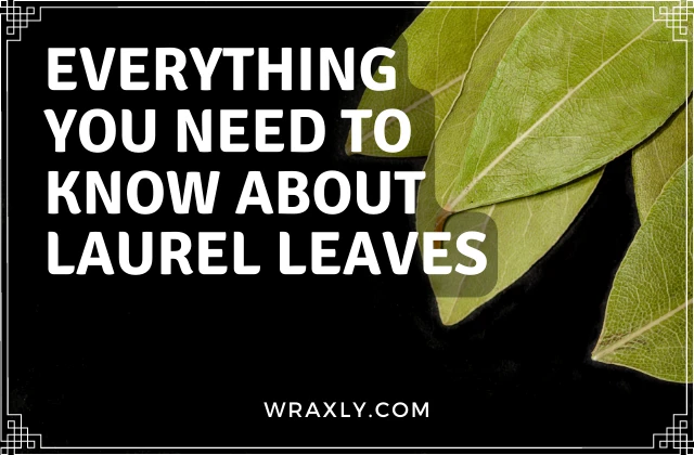 Everything you need to know about laurel leaves