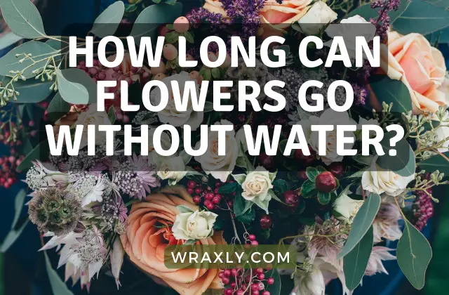 Quanto tempo as flores podem ficar sem água?