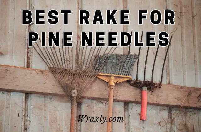 Best rake for pine needles