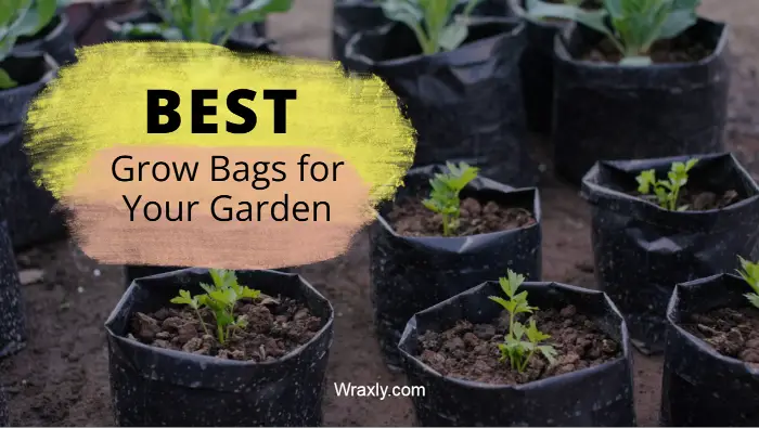 Best grow bags for your garden