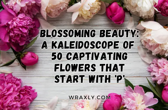 50 Captivating flowers that start with 'p'