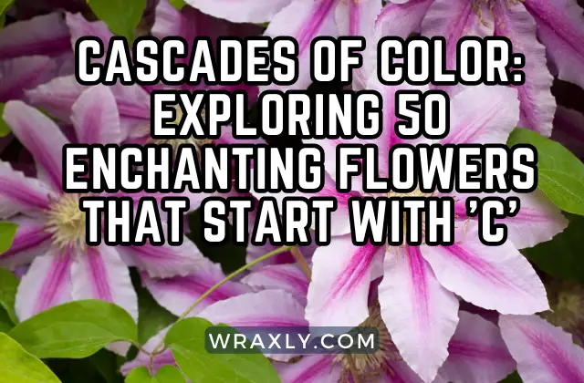 Cascades of Color: Exploring 50 Enchanting Flowers that SAtart with 'C'