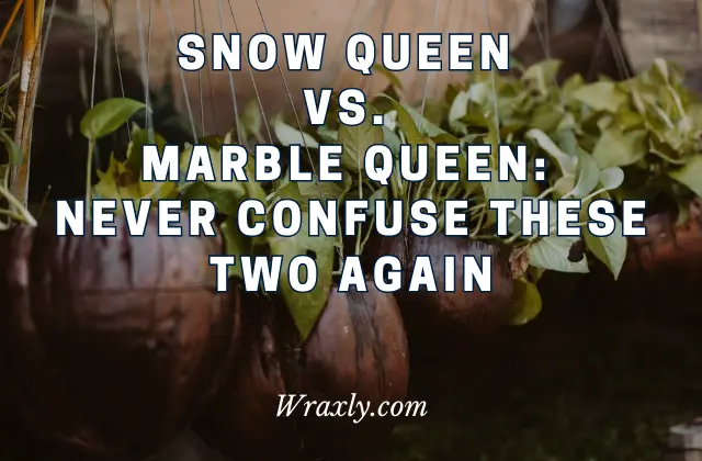Sneeuwkoningin vs Marmerkoningin