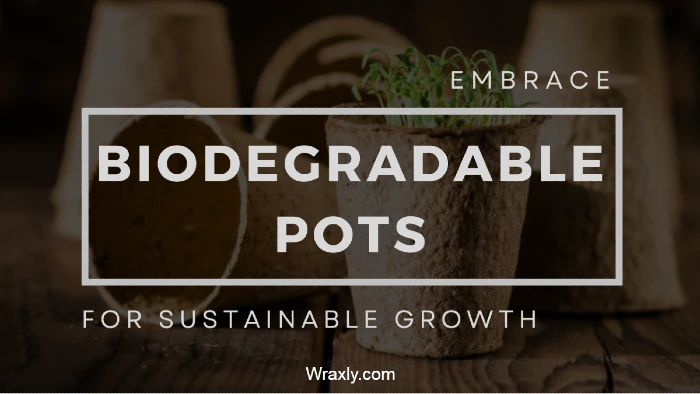 biodegradable pots for seedlings