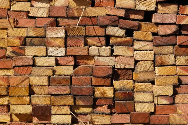 Redwood Wonders: la obra maestra de la naturaleza en cada grano.