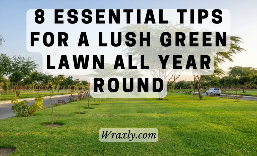 8 essentiële tips voor een weelderig groen gazon het hele jaar door