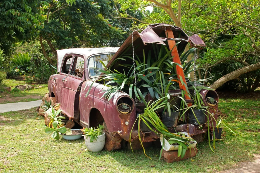 Suggerimenti per risparmiare denaro nel giardinaggio in container