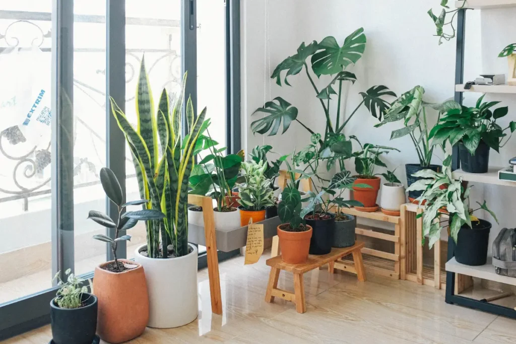 If you don't have the space for a garden, why not bring some greenery indoors? 