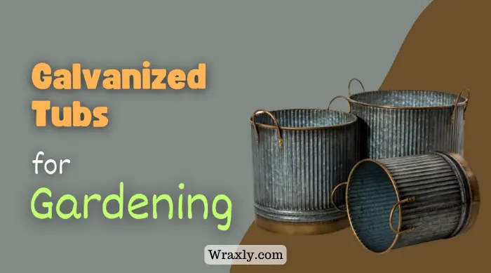 Galvanized tubs for gardening