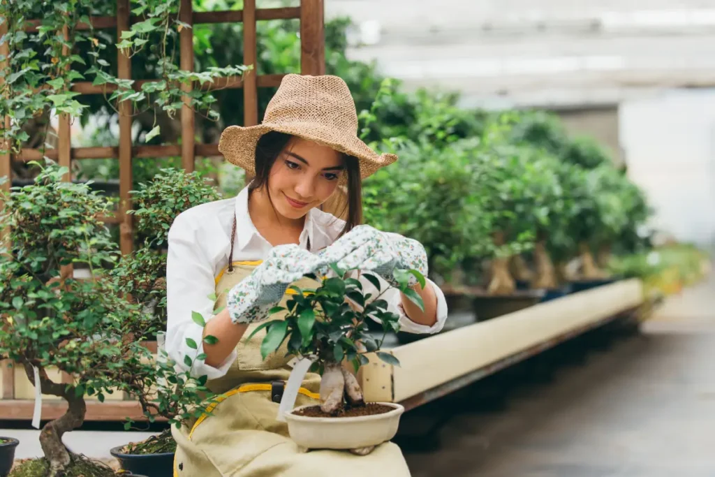 Le jardinage en pot pour les divorcés peut apporter un réconfort.