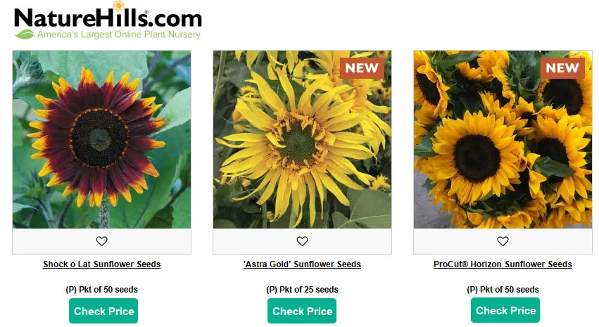 Banner ng NatureHills Sunflower seeds