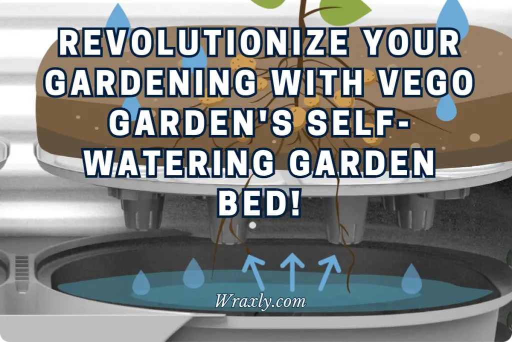 Revolutionize your gardening with Vego Garden's self-watering garden bed