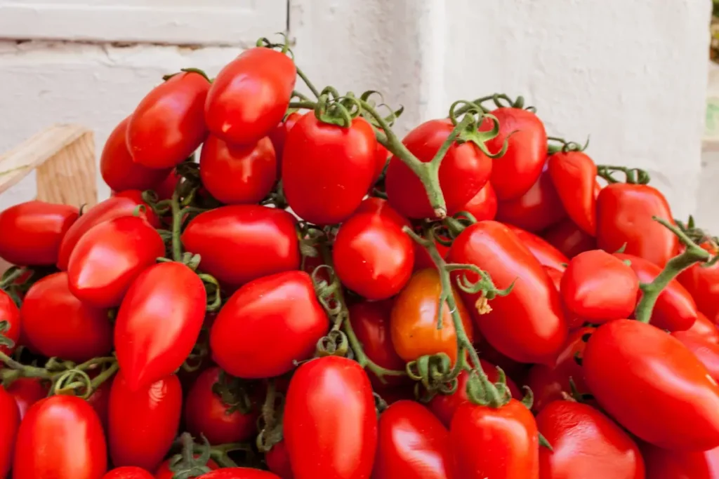 Pomodori San Marzano