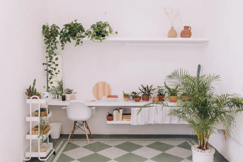 Dortoir avec plantes