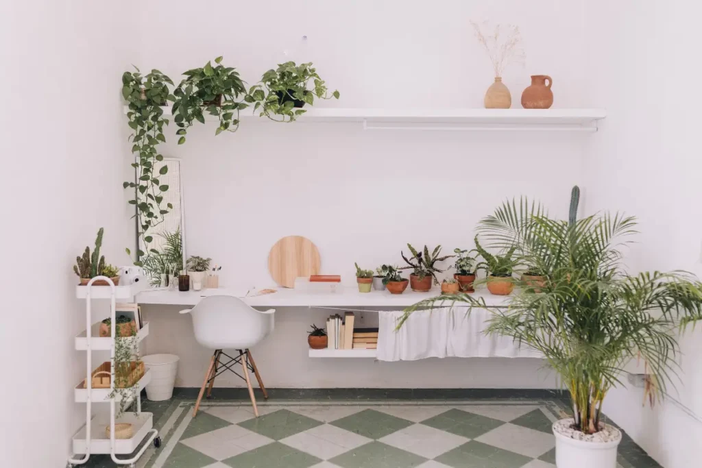 Dorm room with plants