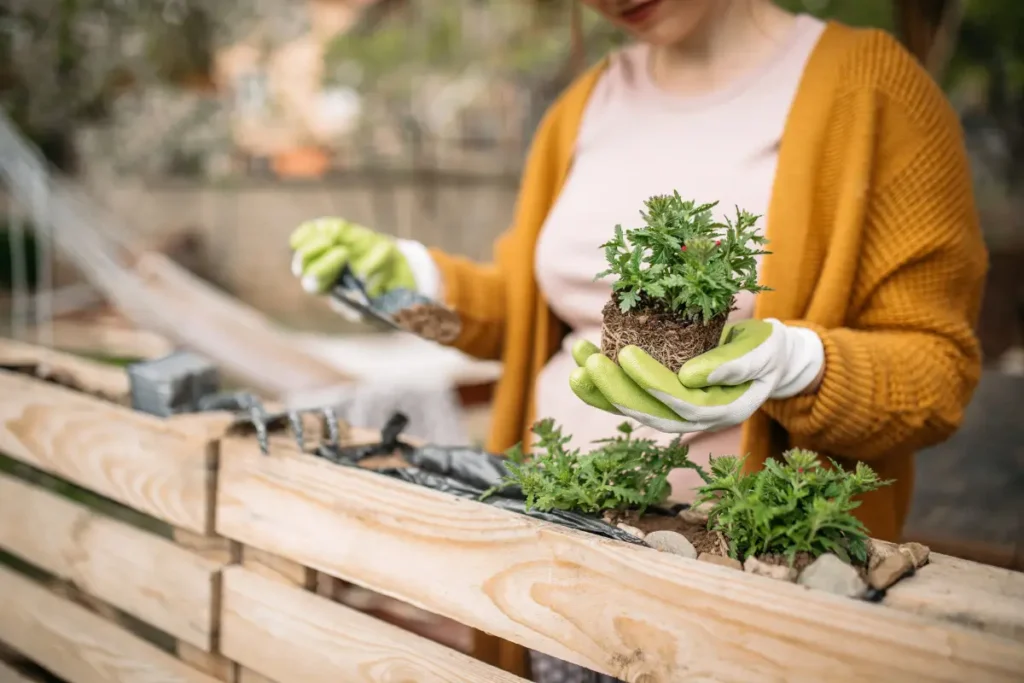 Geborgene Palette, die für den Gartenbau in Containern verwendet wird