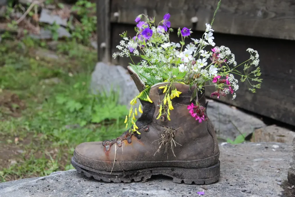 Zuinig tuinieren door in een oude schoen te planten