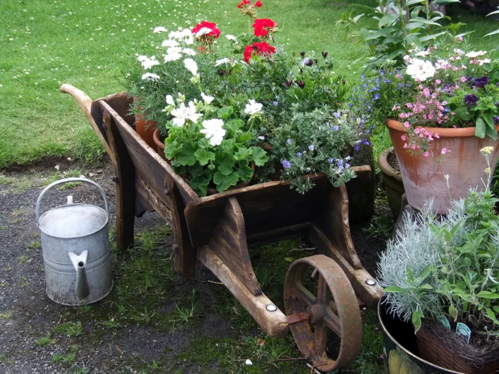 An old wheelbarrow reused for the frugal gardener.