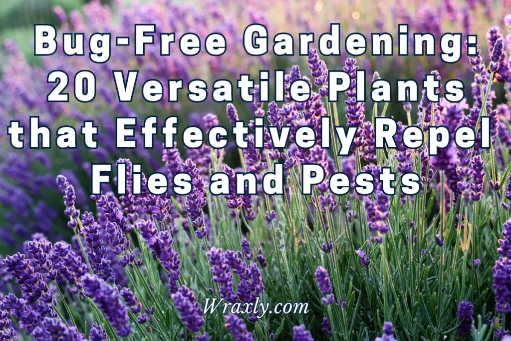 Bug0Free Gardening: 20 versatile plants that effectively repel flies and pests