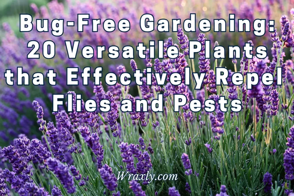 Bug0Free Gardening: 20 plantas versátiles que repelen eficazmente moscas y plagas