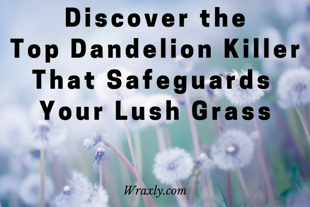 Discover the top danelion killer that safeguards your lush grass