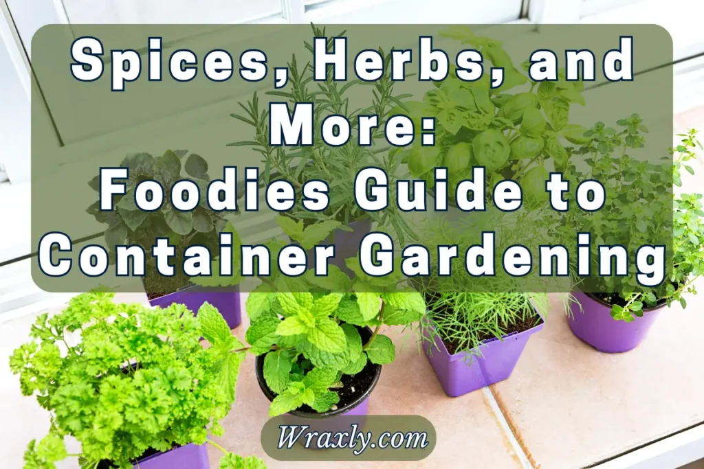 Foodies guide to container gardening