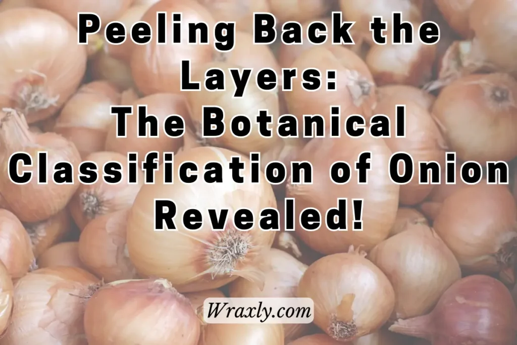 Peeling back the layers: The botanical classification of onion revealed! 