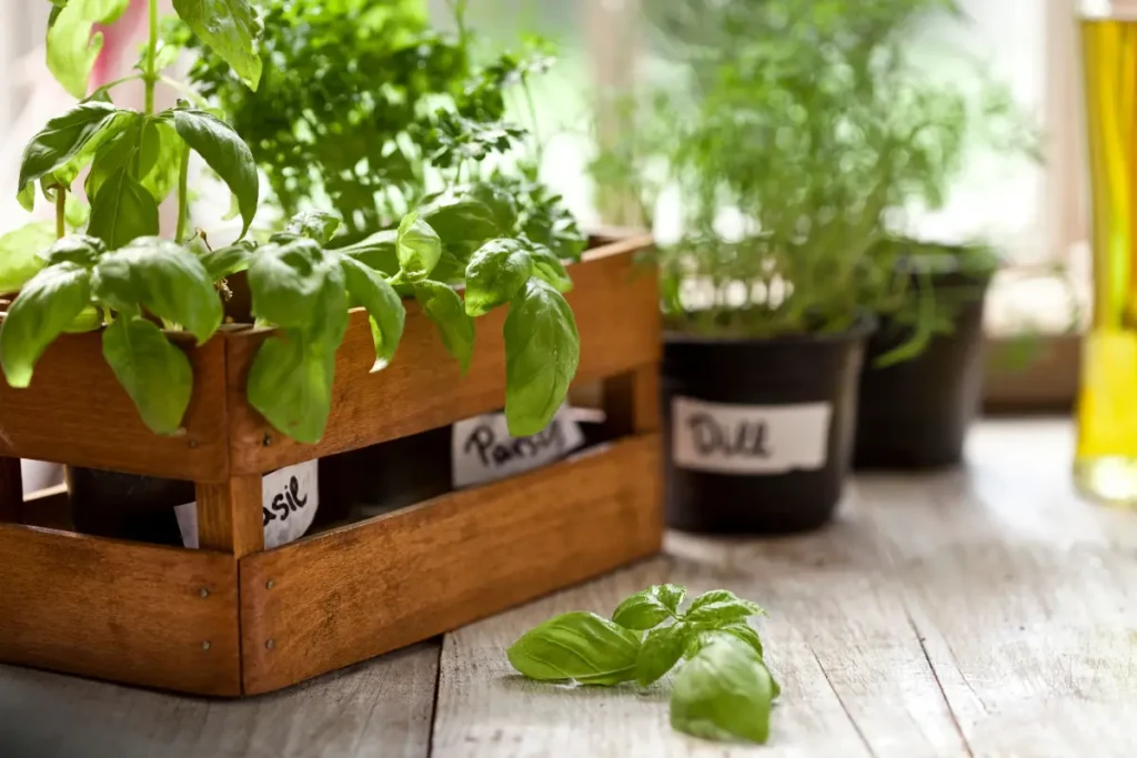 Desbloqueando o poder do espaço: A jardinagem em contêineres transforma pequenos espaços em jardins prósperos repletos de ervas e vegetais gourmet. 