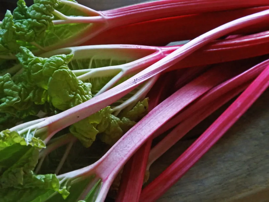 Ipagdiwang ang Rhubarb Renaissance at ang pangako ng tangy delight sa malapit lang.