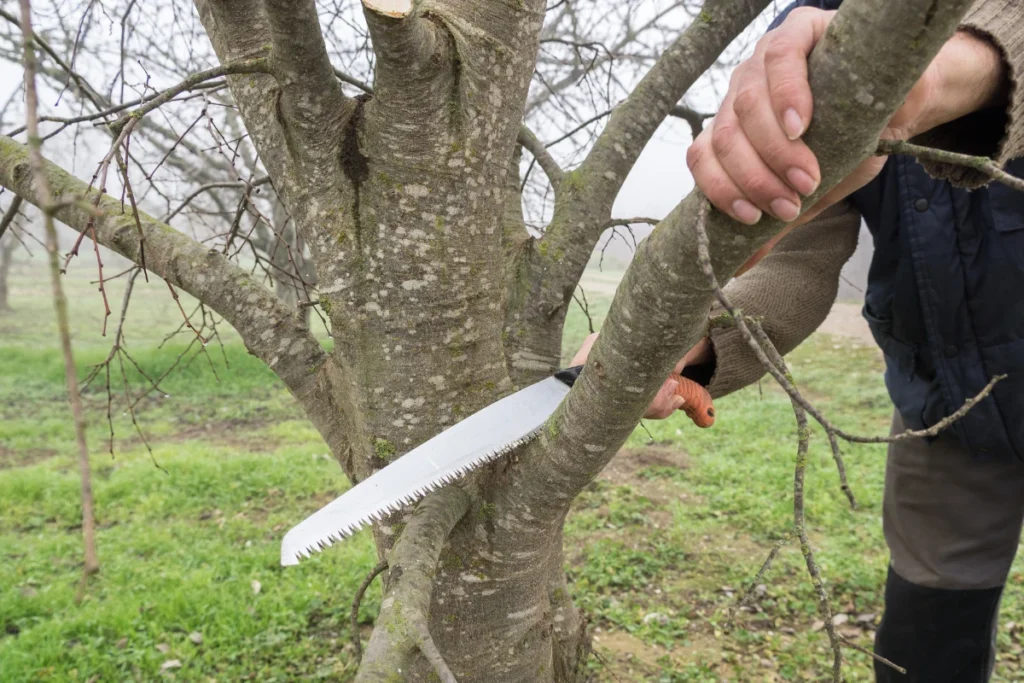 Elevate your gardening precision with straight blades featuring finer teeth for controlled, accurate cuts.