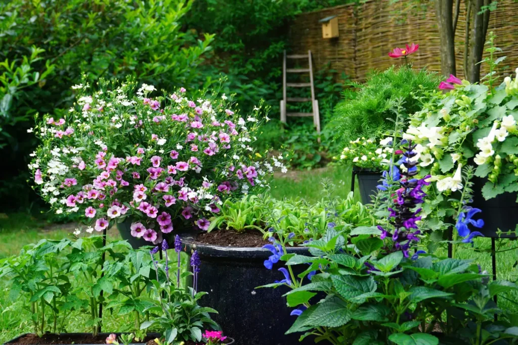 Starten Sie Ihren Garten für Hausfrauen