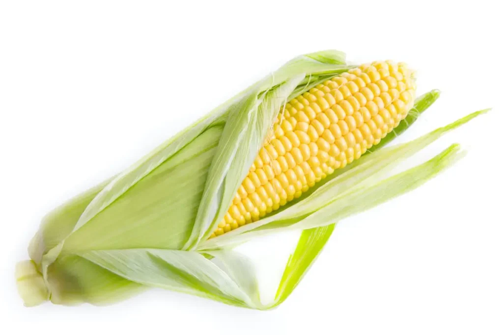 El maíz es una excelente planta compañera del perejil.