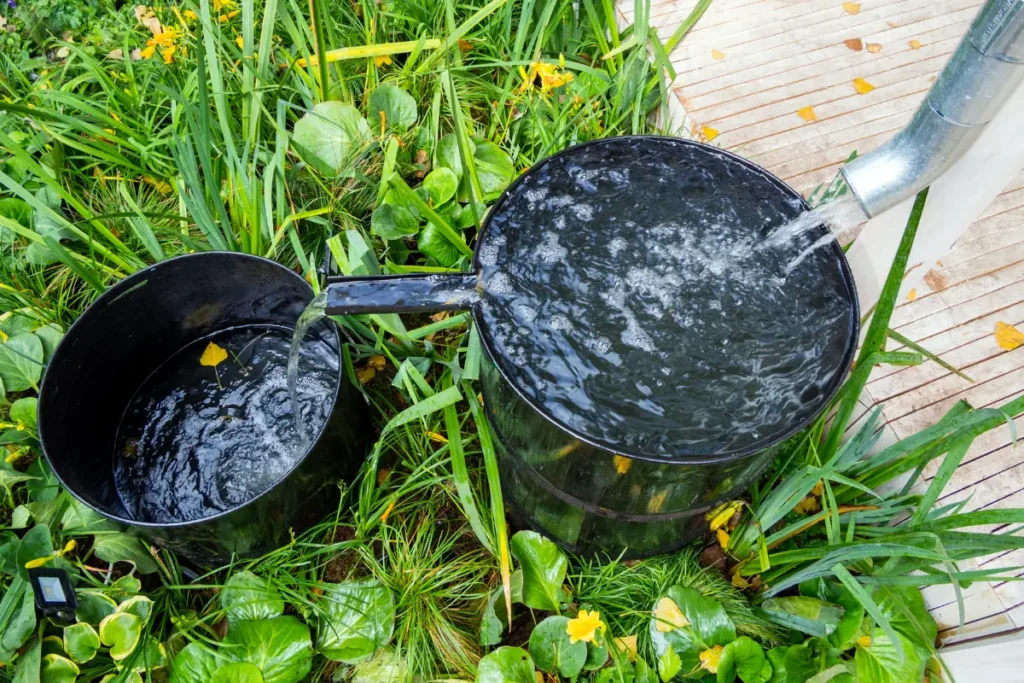 Raccogliere l'acqua piovana in botti è un ottimo modo per risparmiare denaro nel tuo giardino.