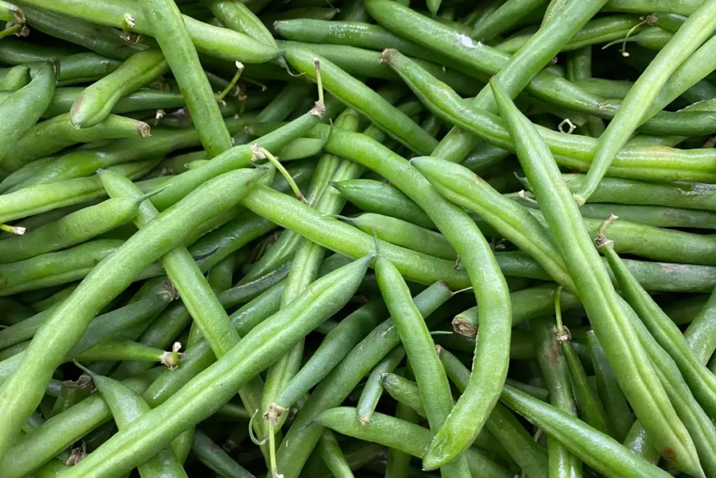 Ang mga string bean ay mahusay na kasamang halaman ng spinach.